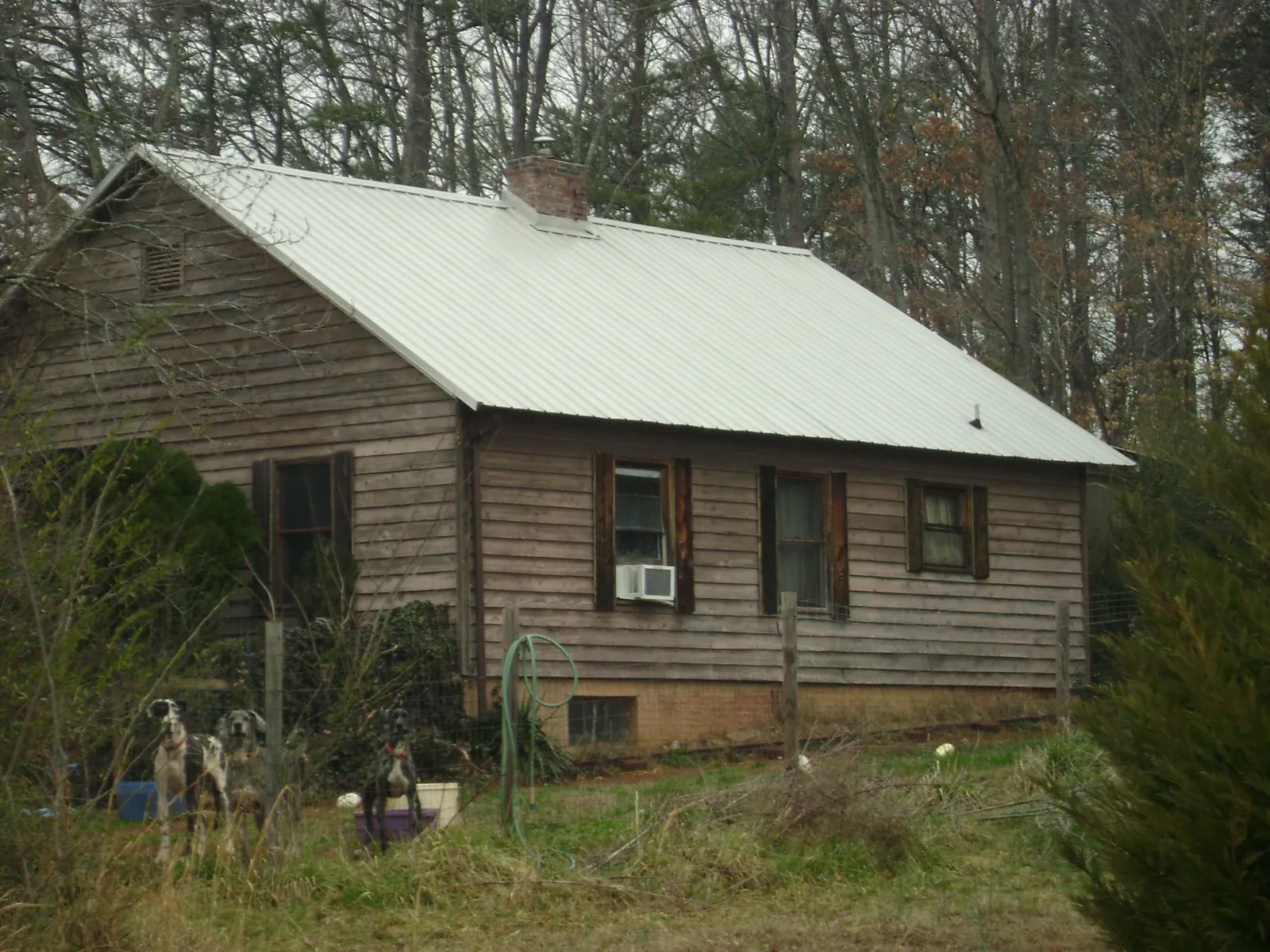 White metal roof on an old wood sided farmhouse, from a Asphalt Shingle Roof Repair job in Gaines